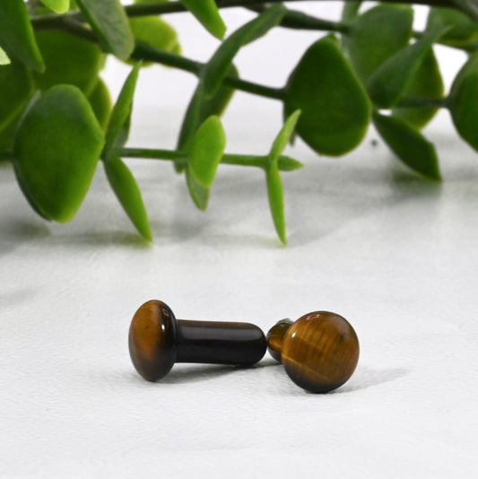 Tiger's Eye Single Flare Plugs - Pair - Agave in Bloom