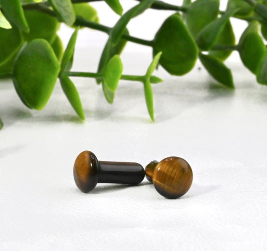 Tiger's Eye Single Flare Plugs - Pair - Agave in Bloom
