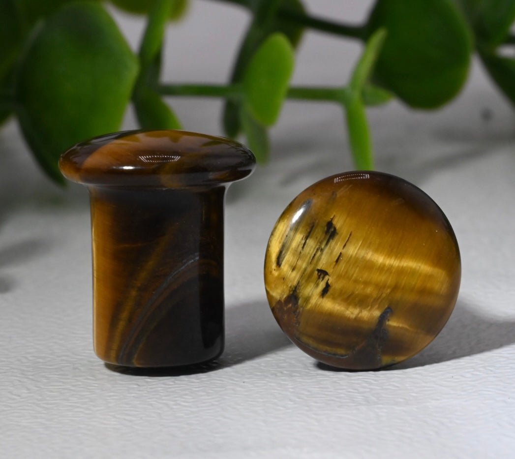 Tiger's Eye Single Flare Plugs - Pair - Agave in Bloom