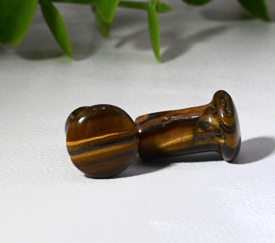 Tiger's Eye Single Flare Plugs - Pair - Agave in Bloom