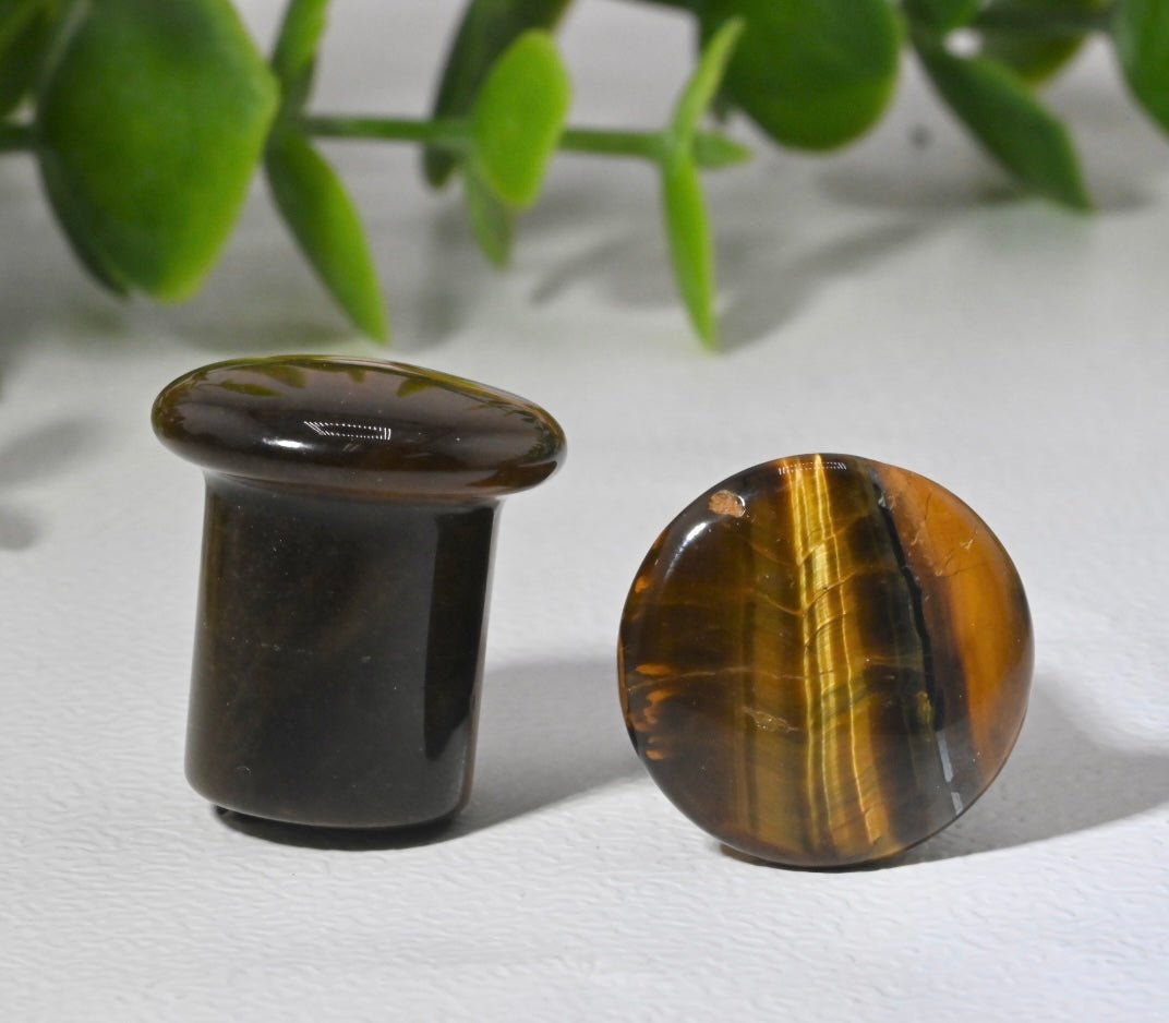 Tiger's Eye Single Flare Plugs - Pair - Agave in Bloom