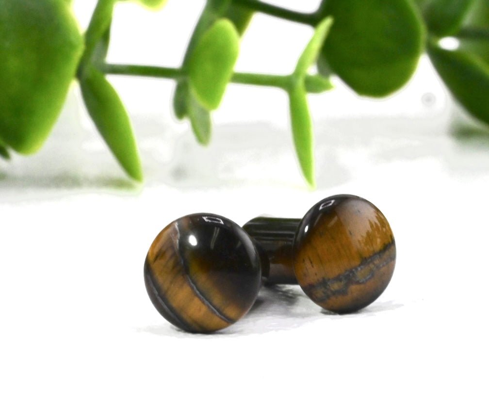 Tiger's Eye Single Flare Plugs - Pair - Agave in Bloom
