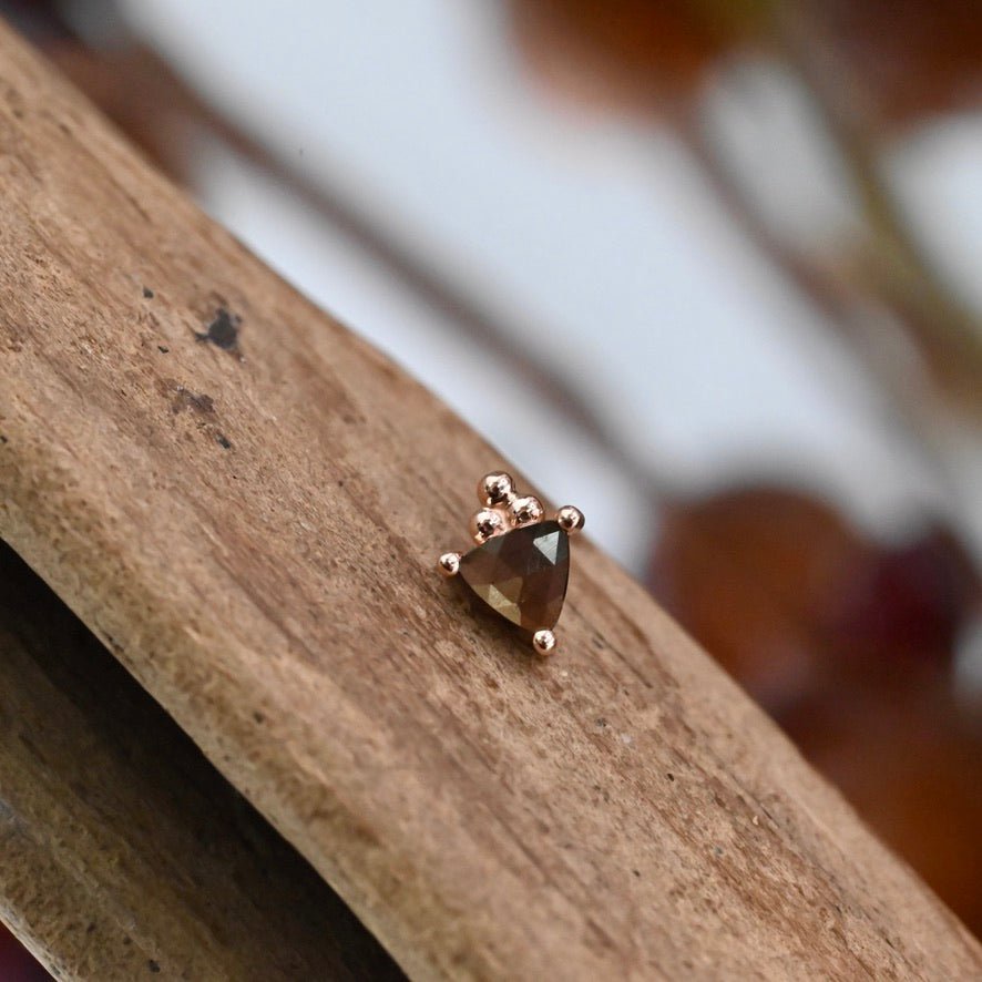 Timka – Agave in Bloom