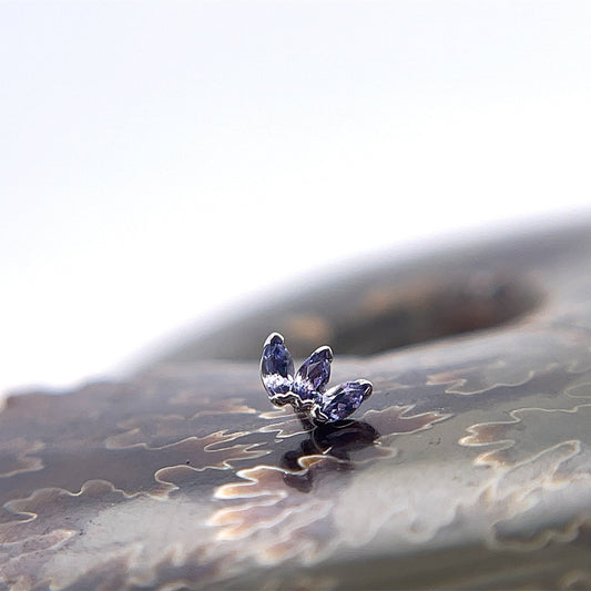 Tiny Triple Marquise Fan - Agave in Bloom