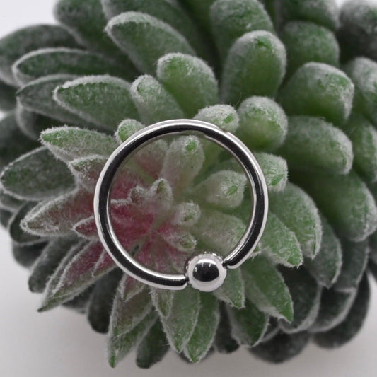 Titanium Captive Bead Ring - Agave in Bloom
