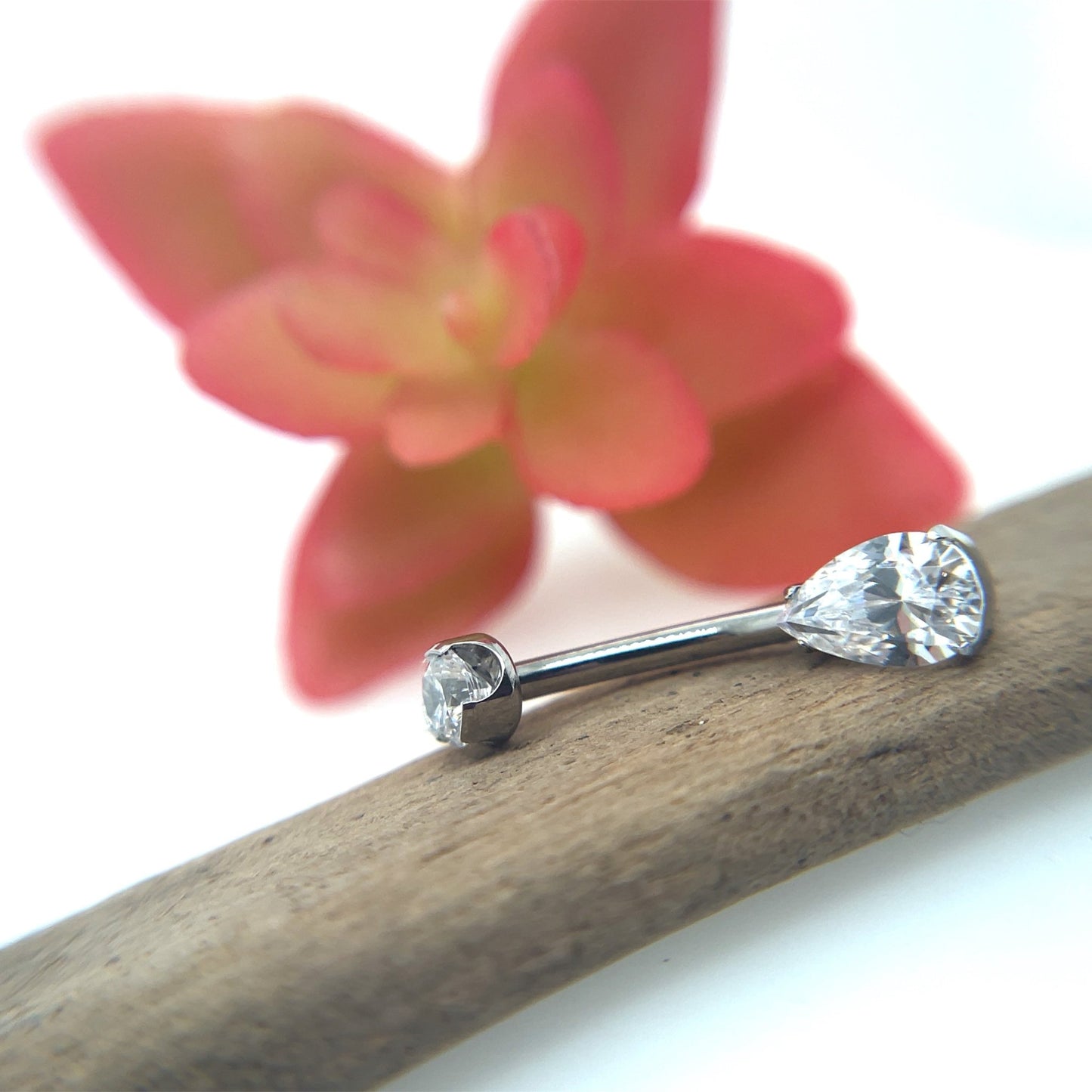 Titanium Pear Navel Curve - Agave in Bloom