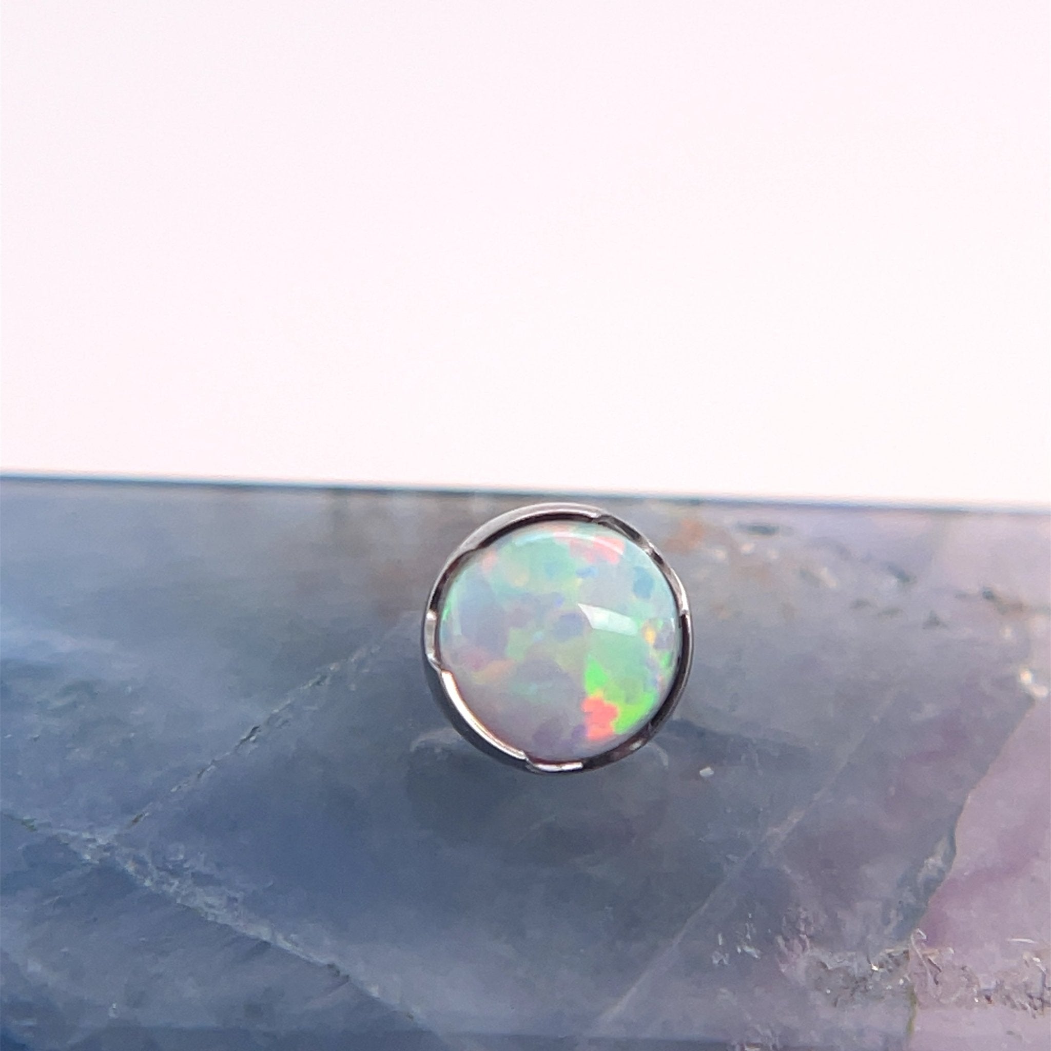 Titanium Prong Set End - 14g Threaded – Agave in Bloom