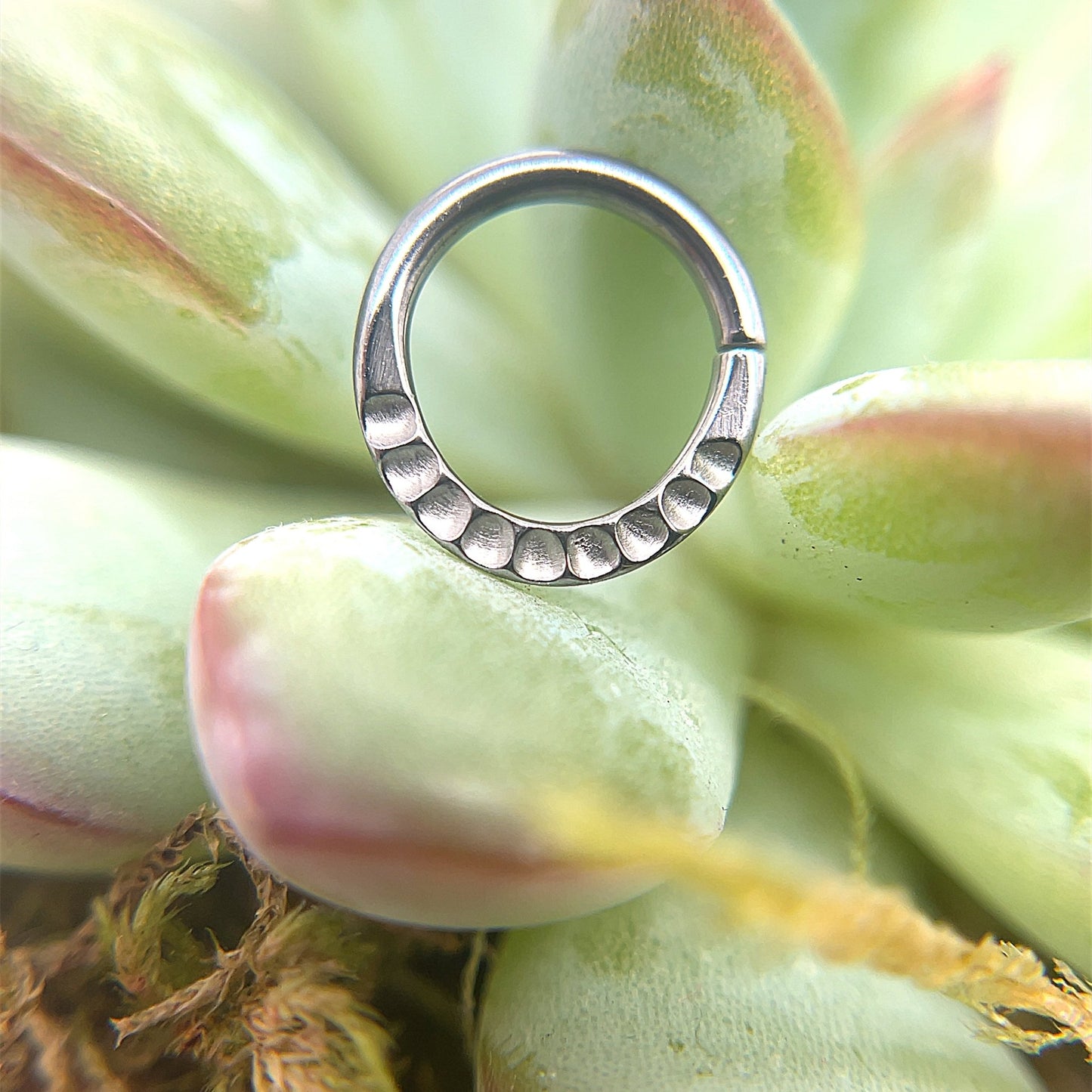 Transcendent Niobium Seam Ring - Agave in Bloom