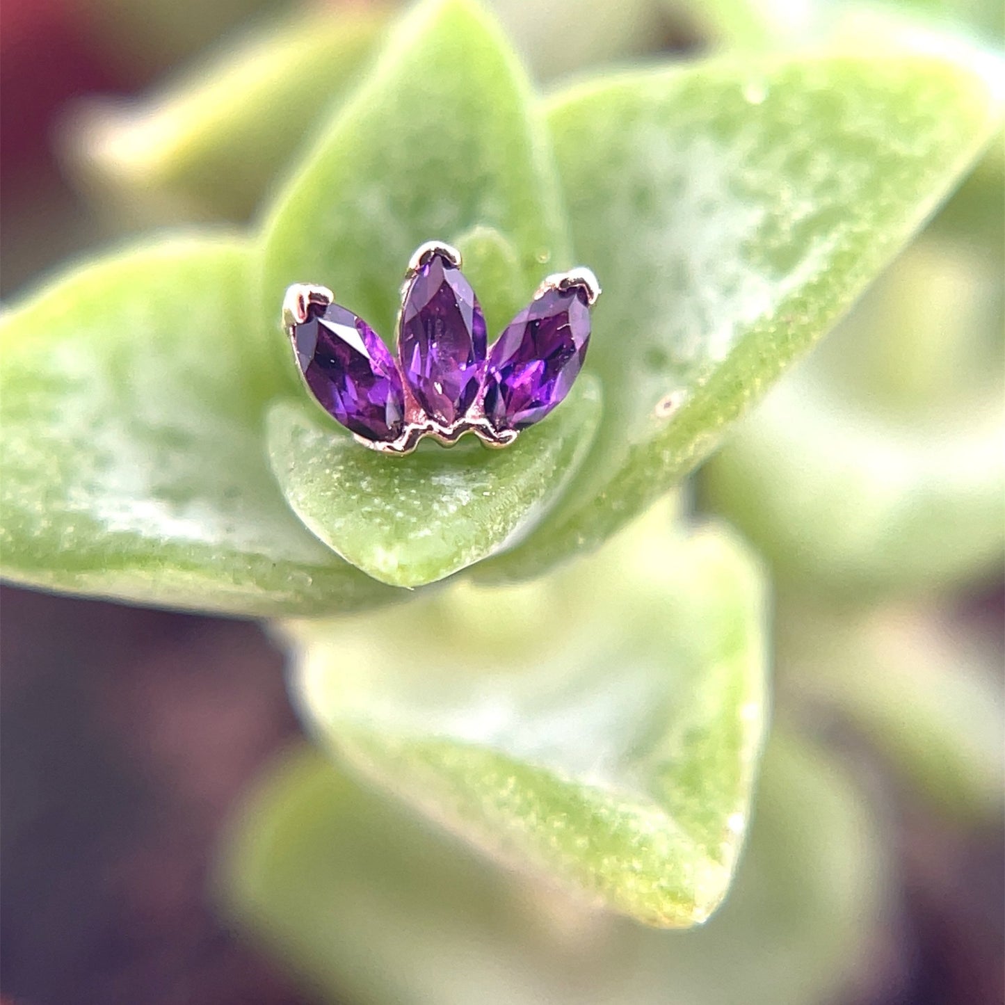 Triple Marquise Fan - Agave in Bloom